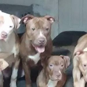 Meet your Posher, Tina